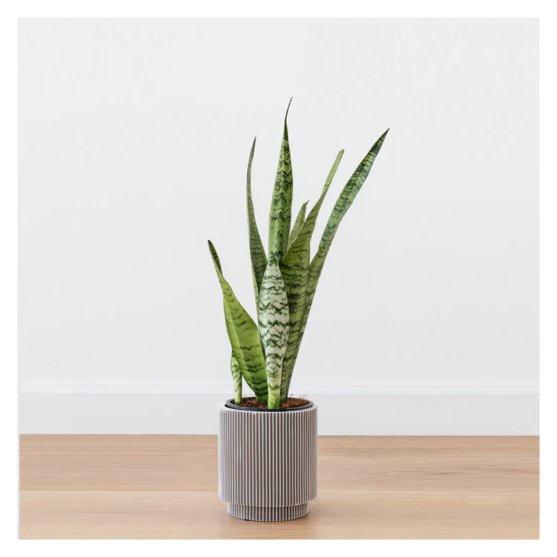 Customizable mug