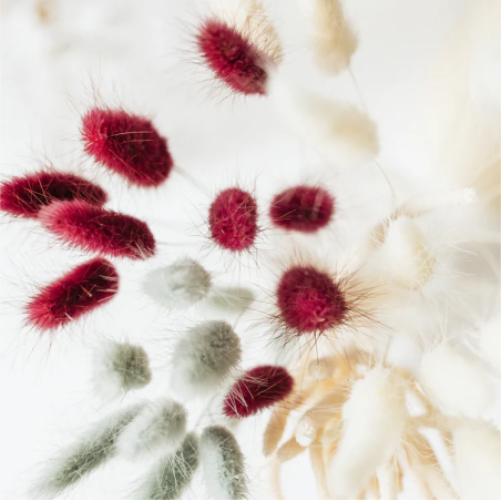Hummingbird cushion